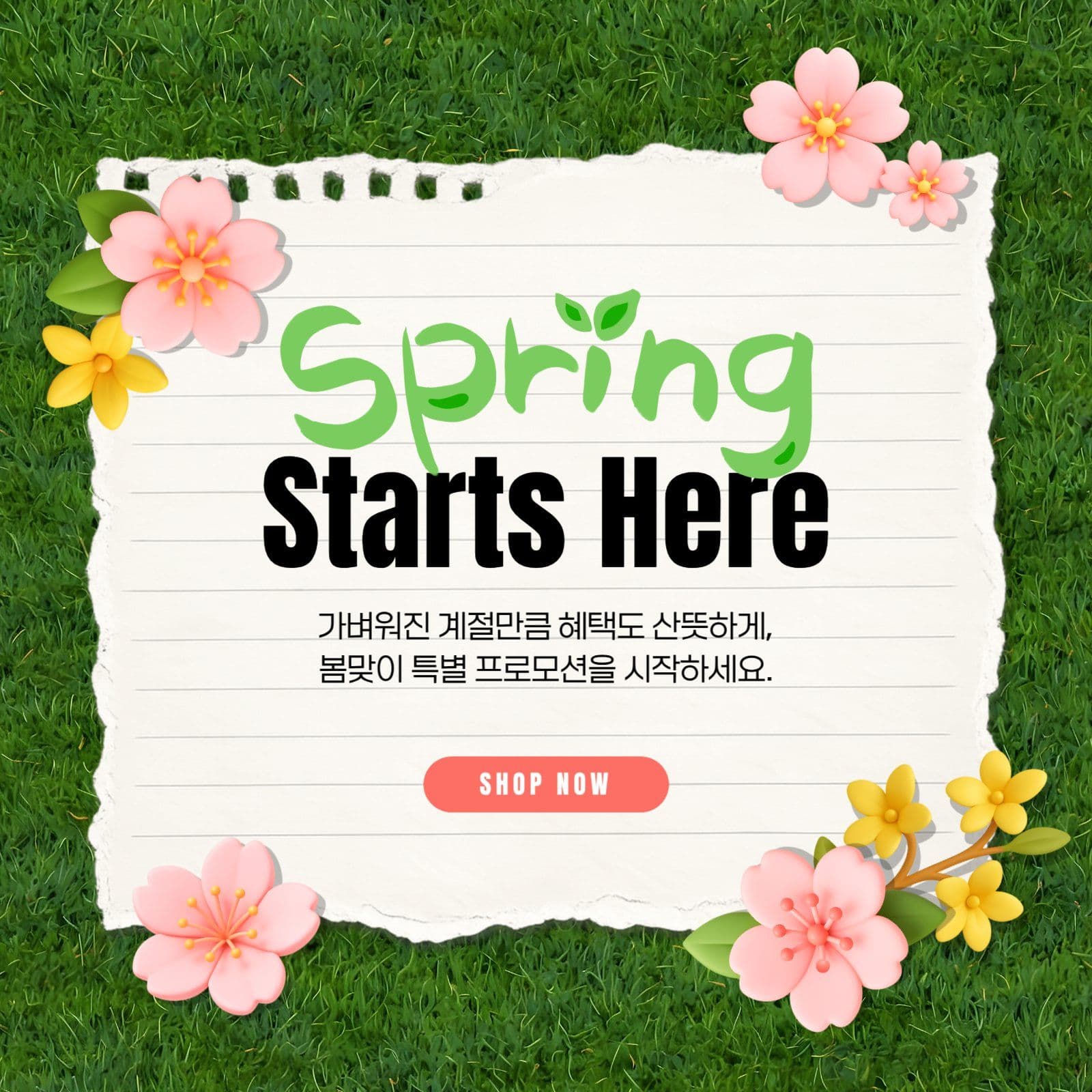 봄 이벤트
