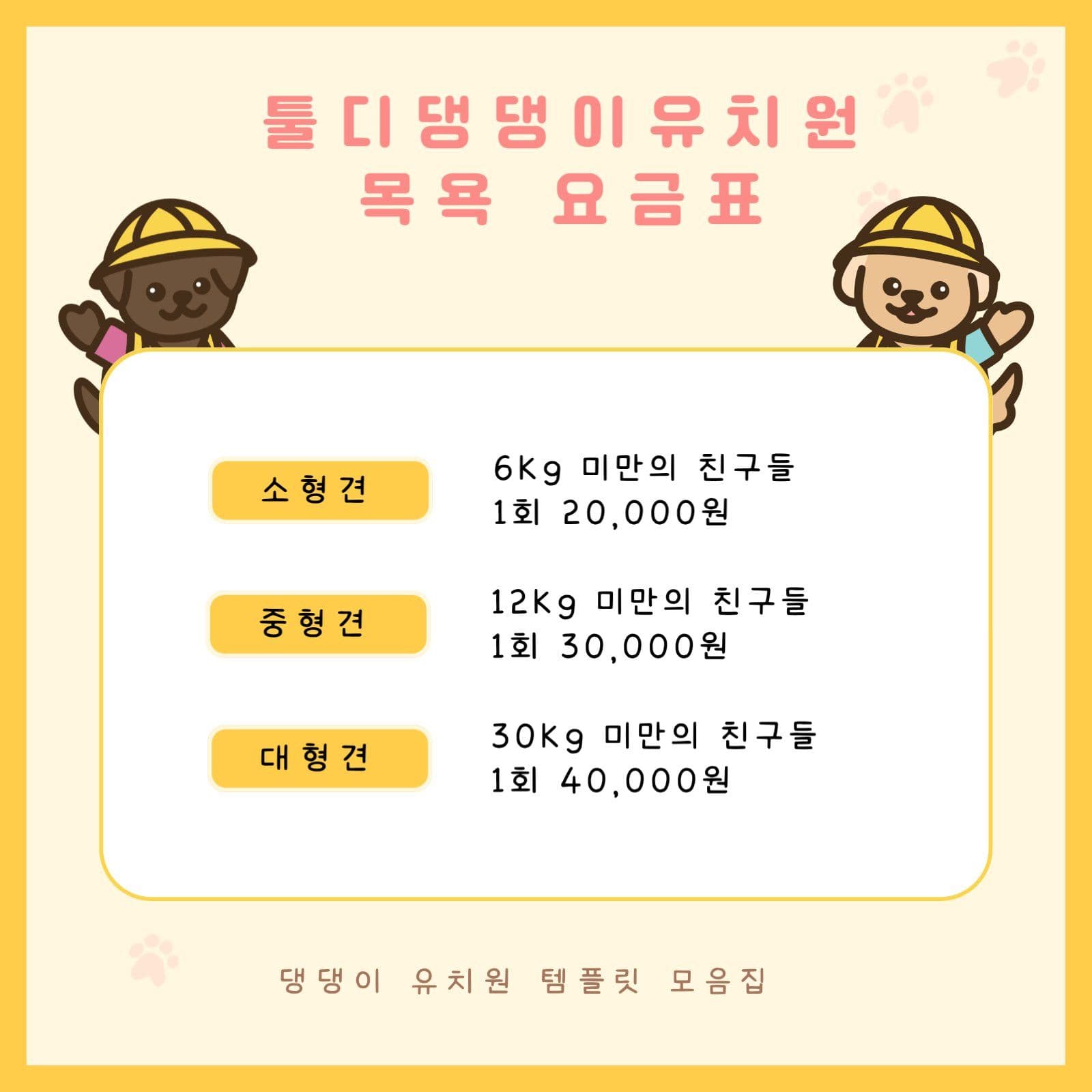 강아지 유치원 모집 카드뉴스