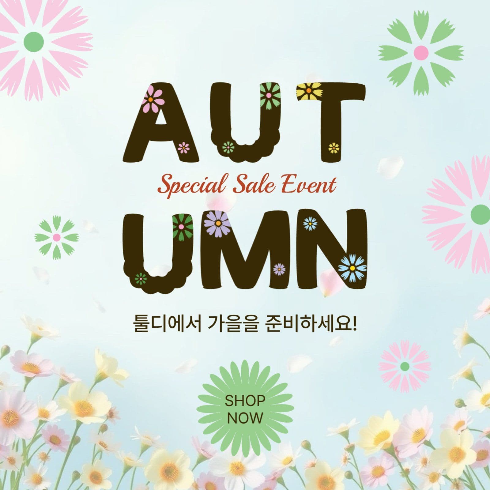  가을들국화이벤트