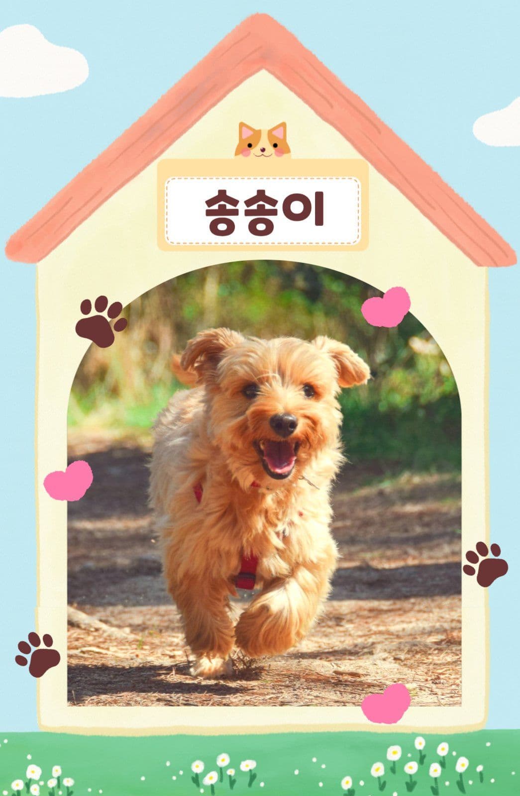 포카_20250826