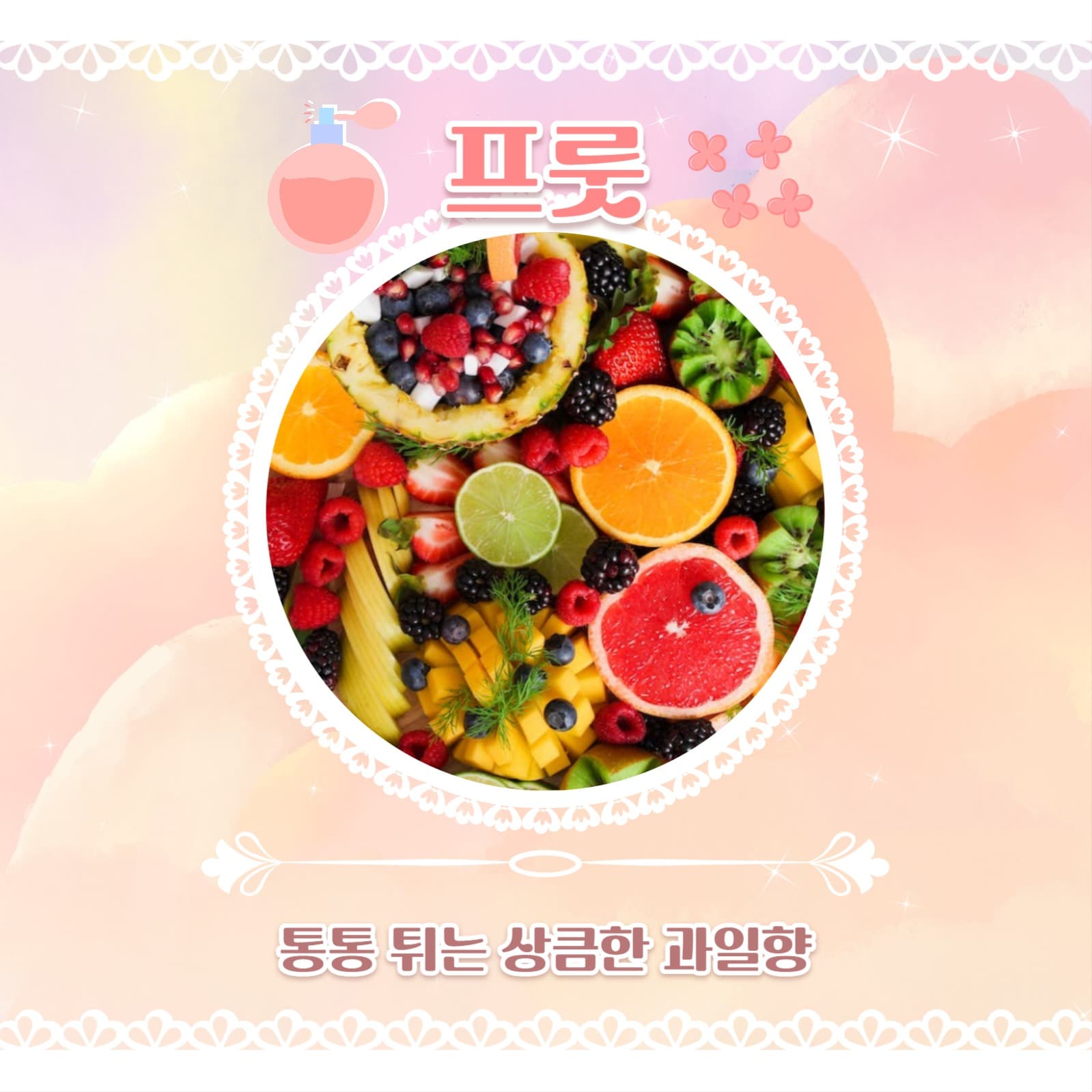 섬유 향수 추천 카드뉴스