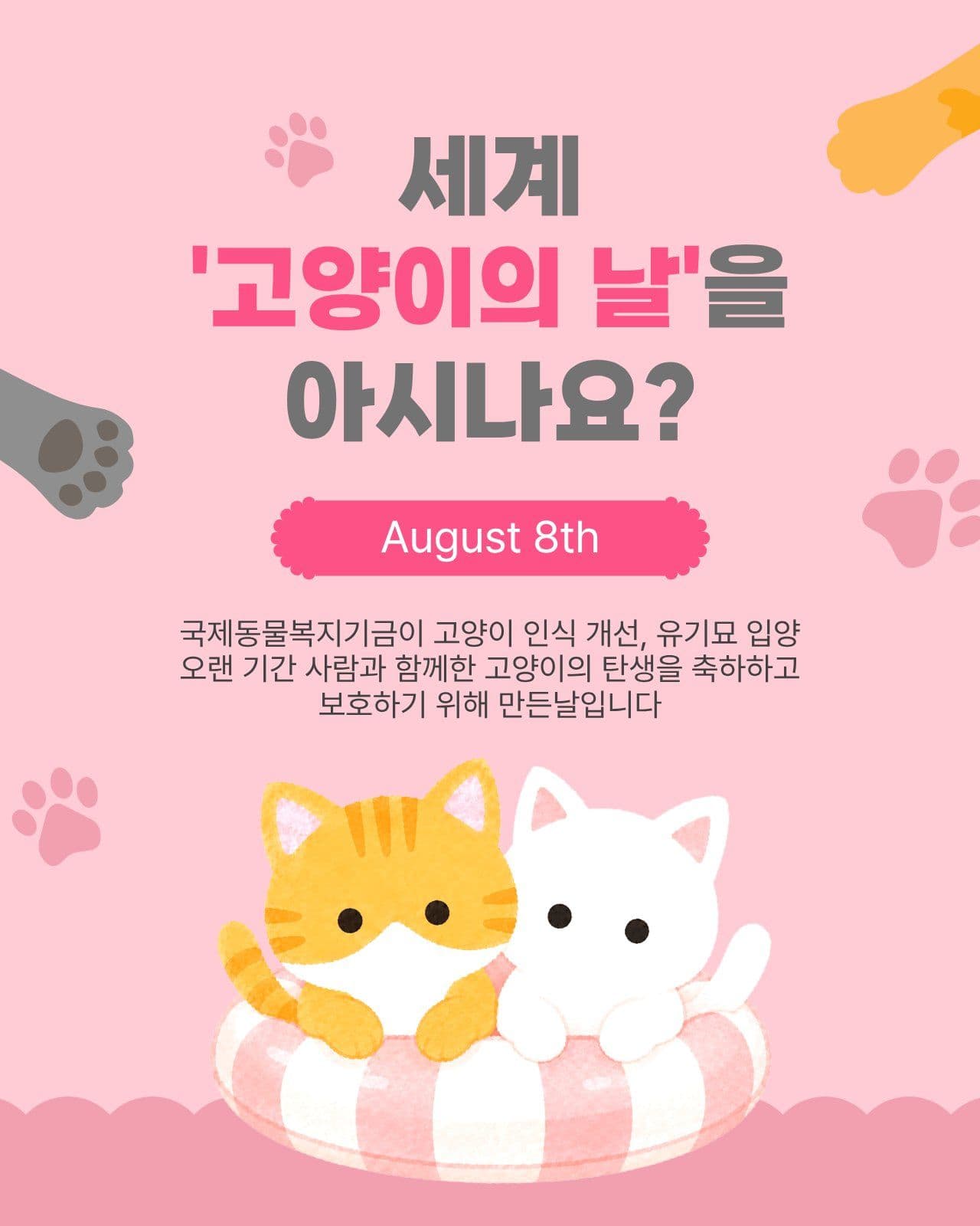 고양이의날을아시나요