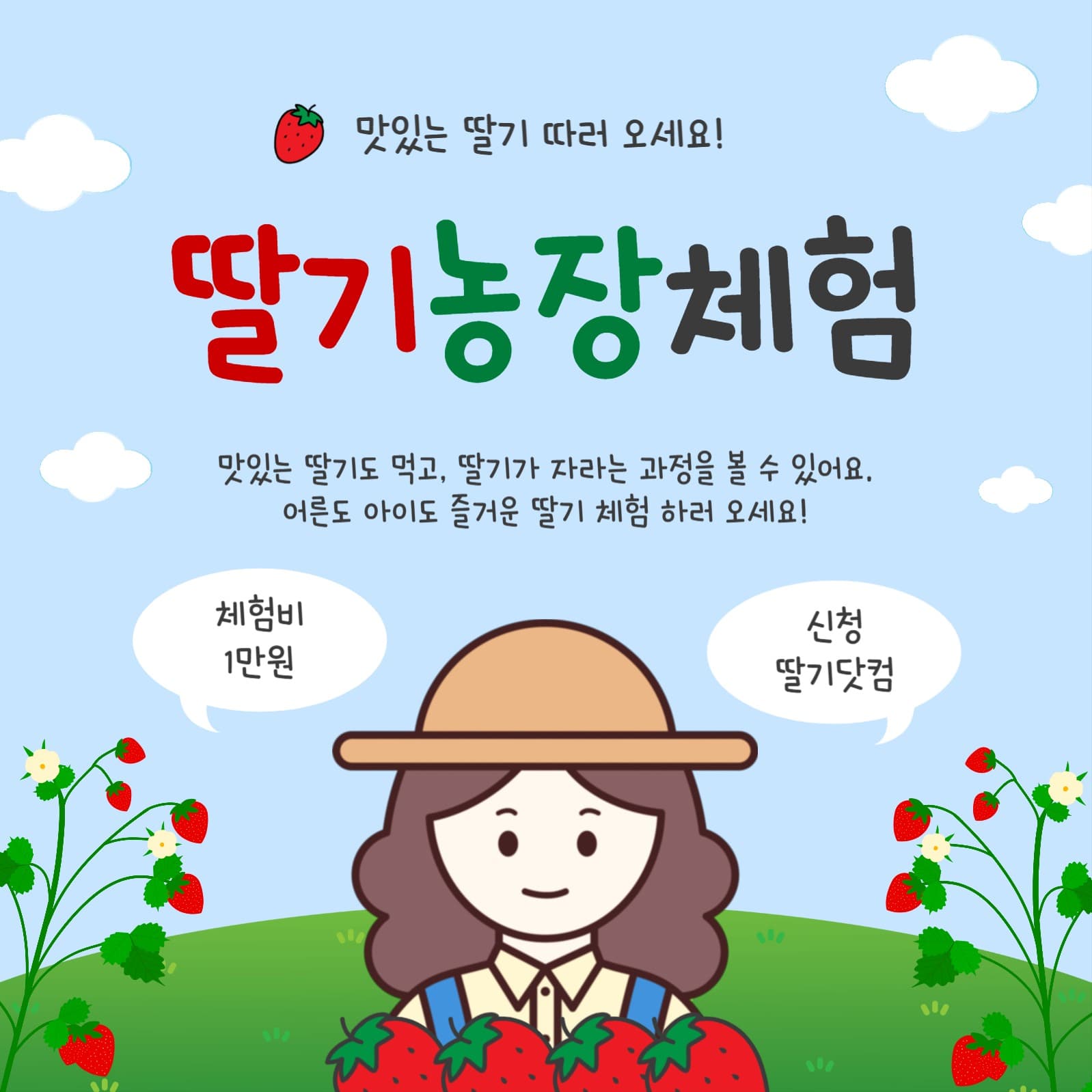 딸기농장체험