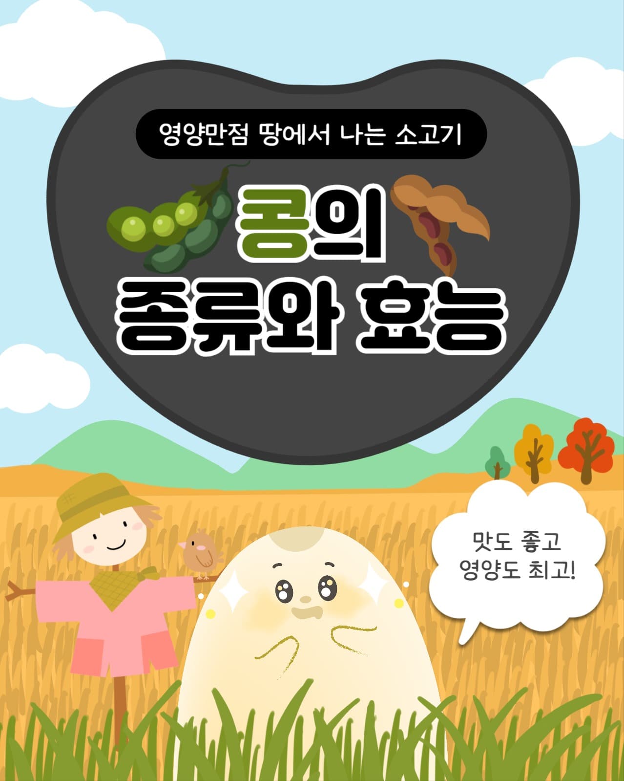 콩의 종류와 효능 인스타(세로)