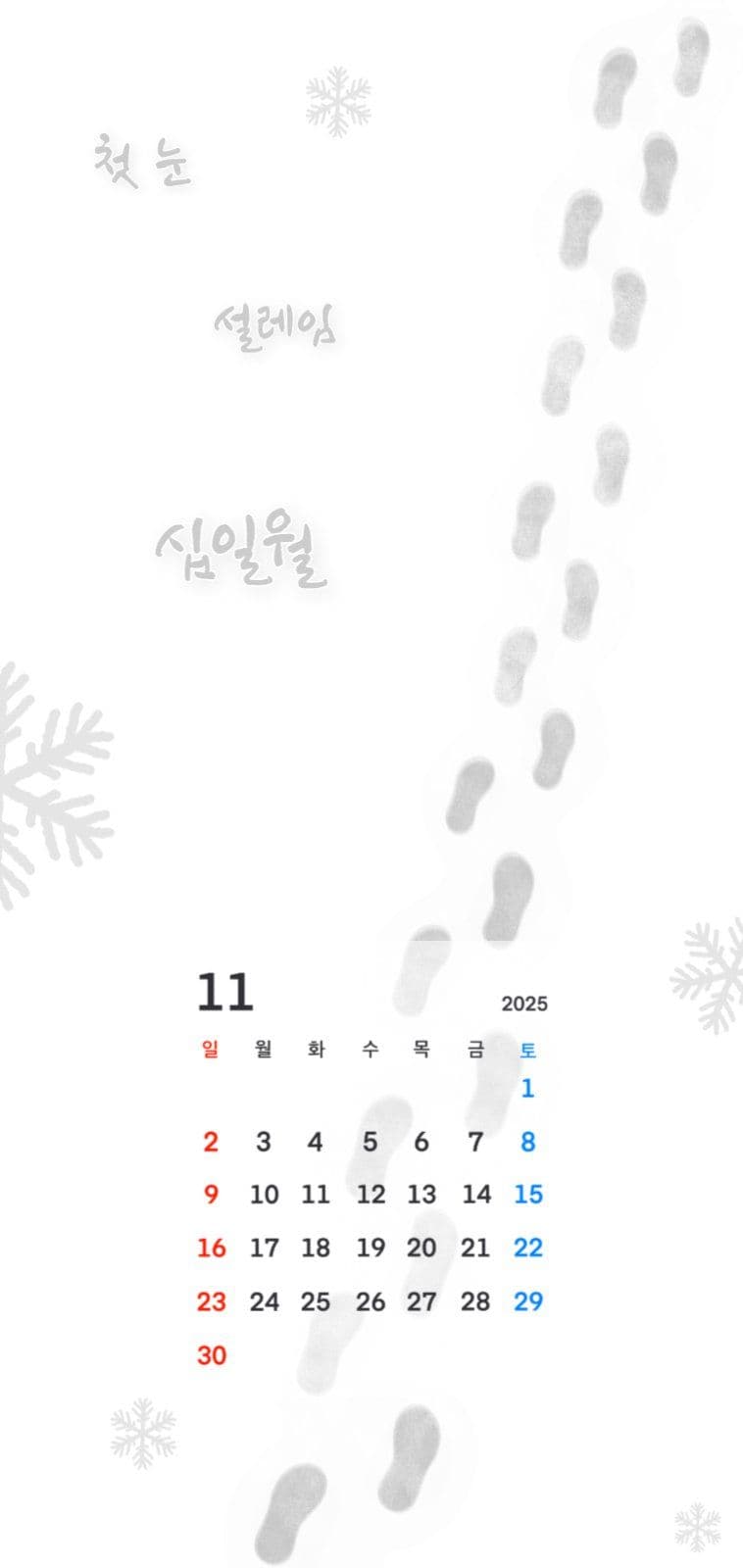 11월 배경화면