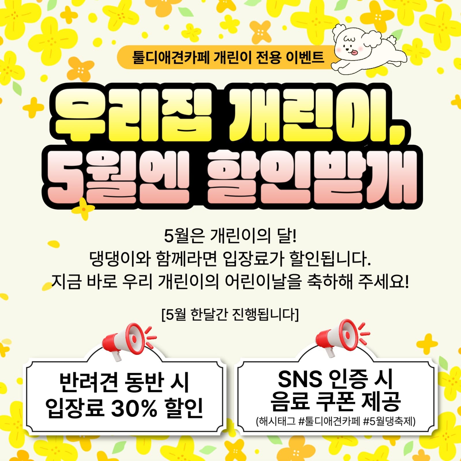 애견카페 5월 개린이날 이벤트  
