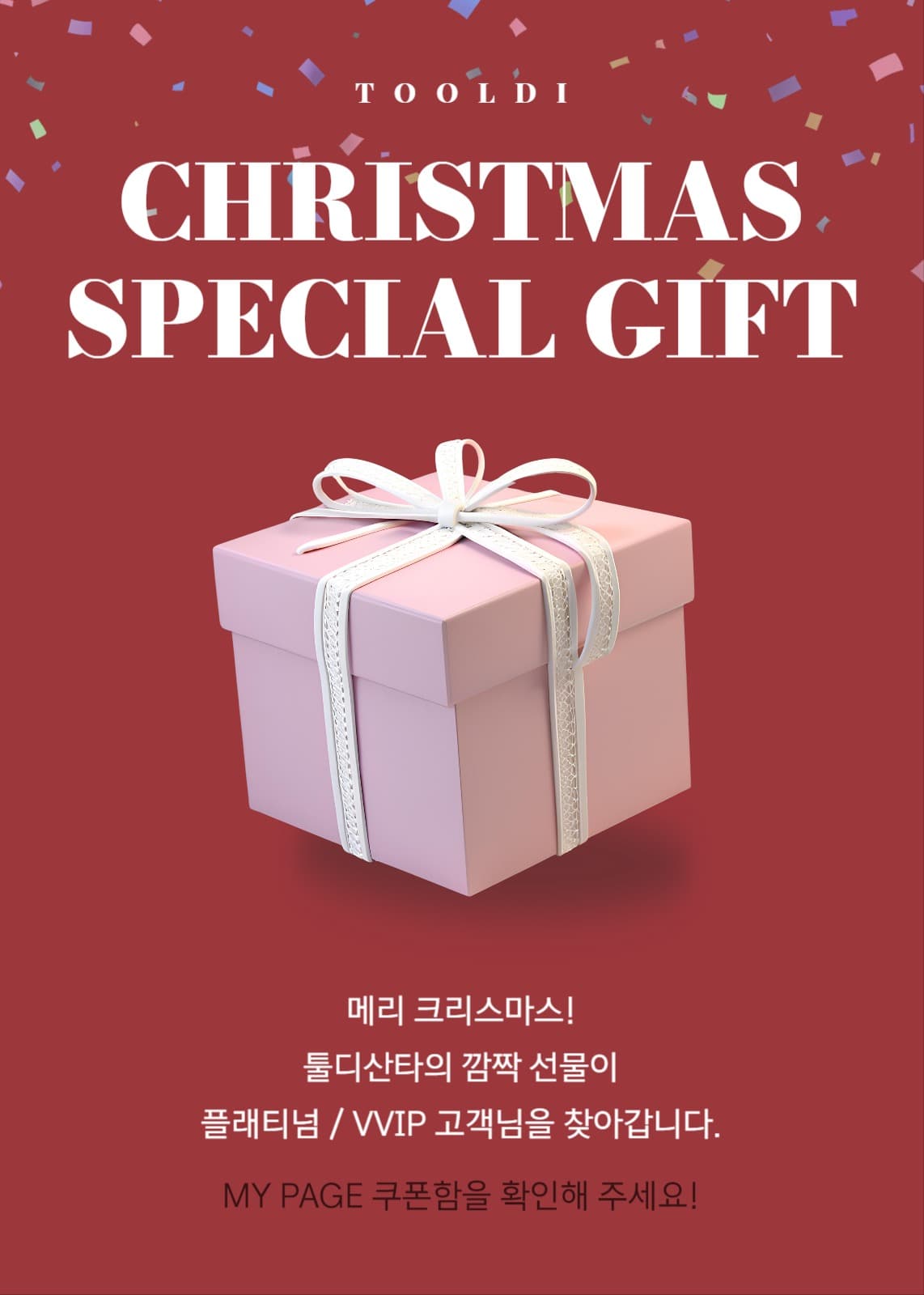 CHRISTMAS SPECIAL GIFT
