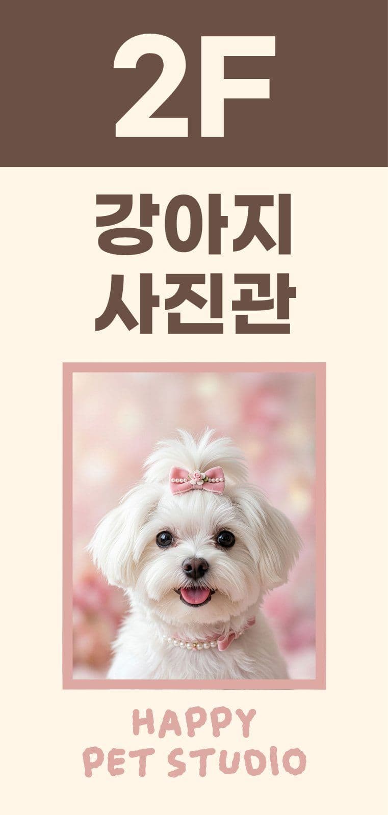 반려동물 사진관 홍보 안내 에어간판