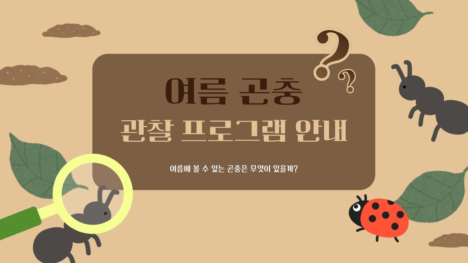 곤충 관찰 프로그램 안내 PPT