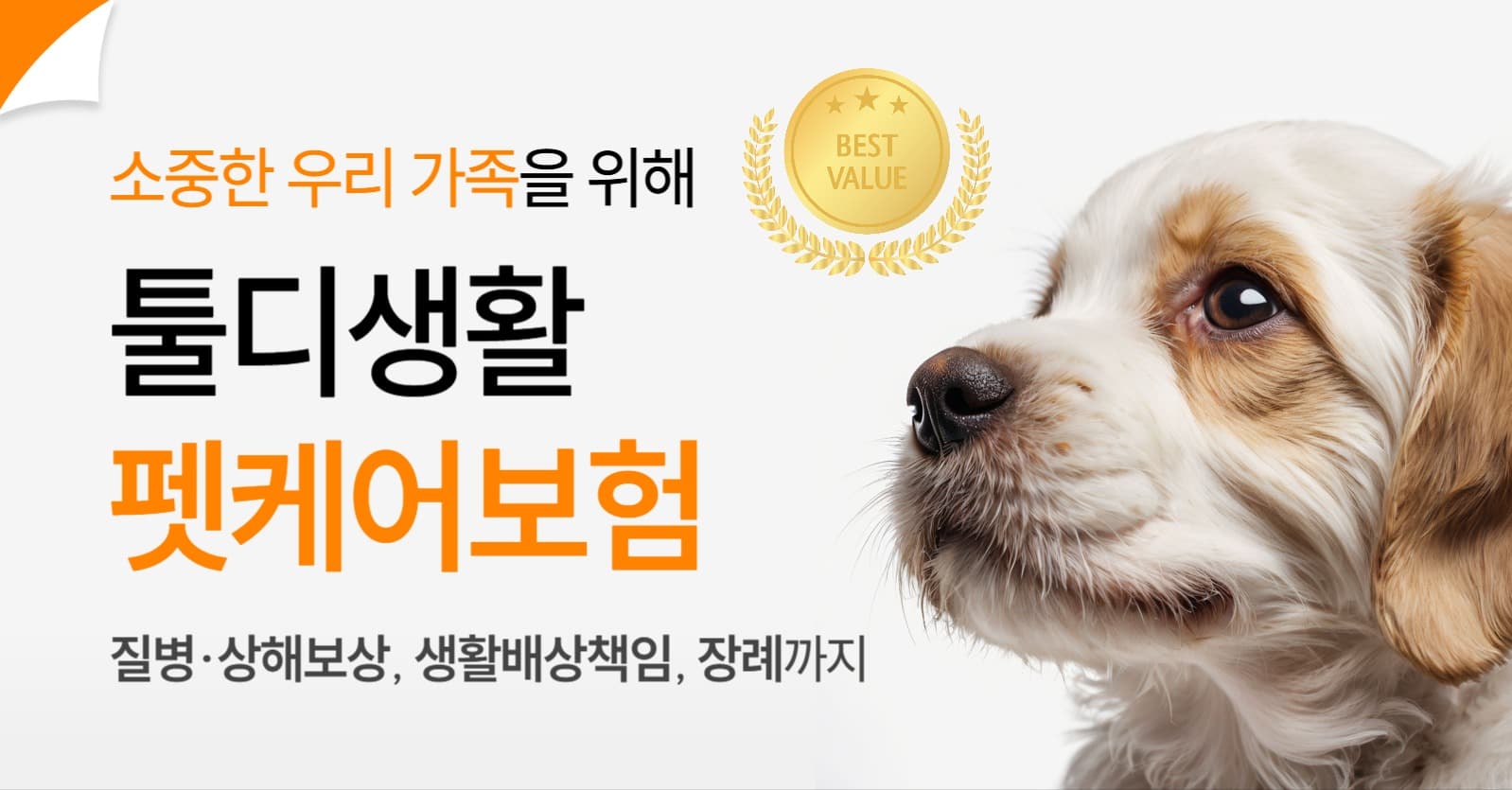 펫 보험 홍보