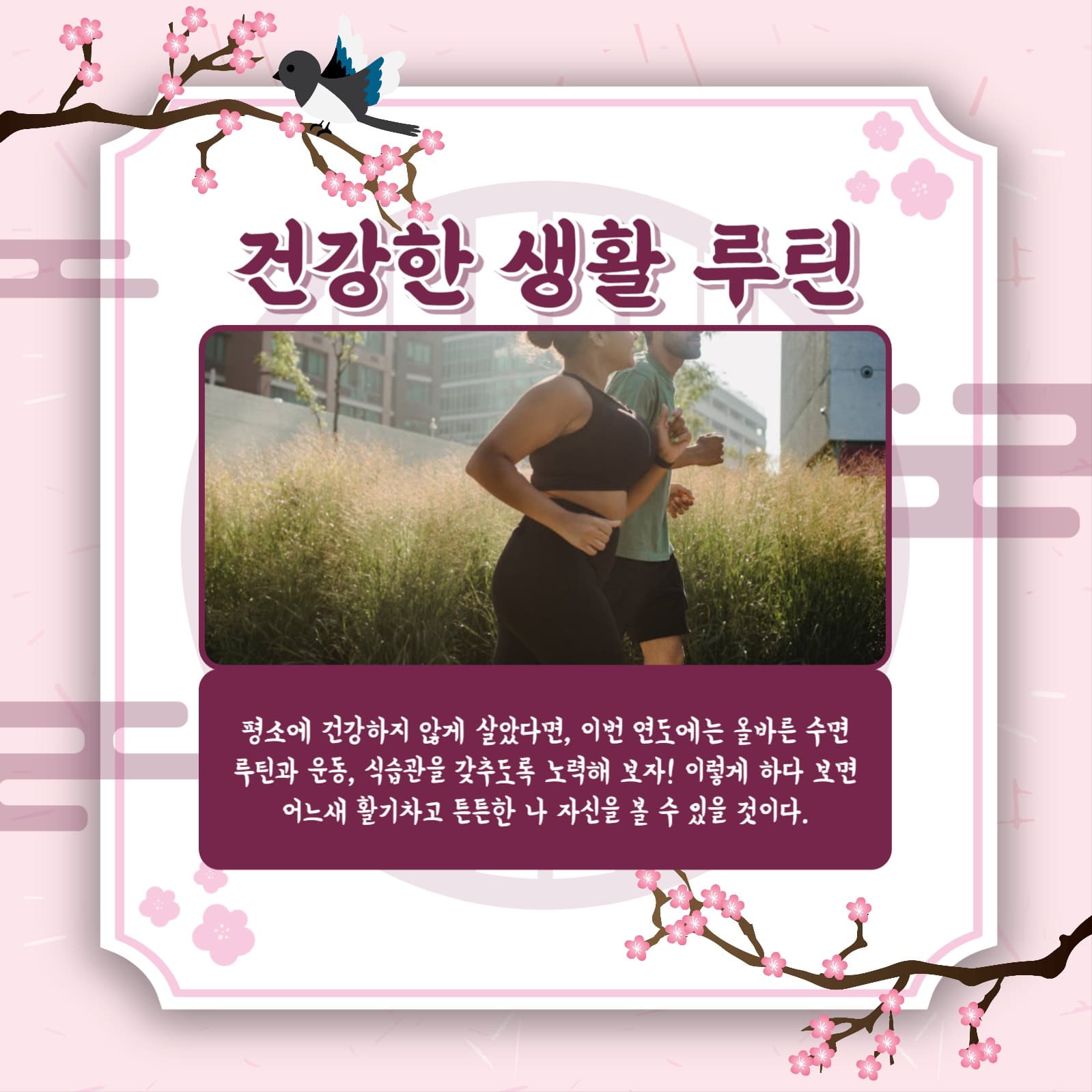 신년 목표 정하기 카드뉴스