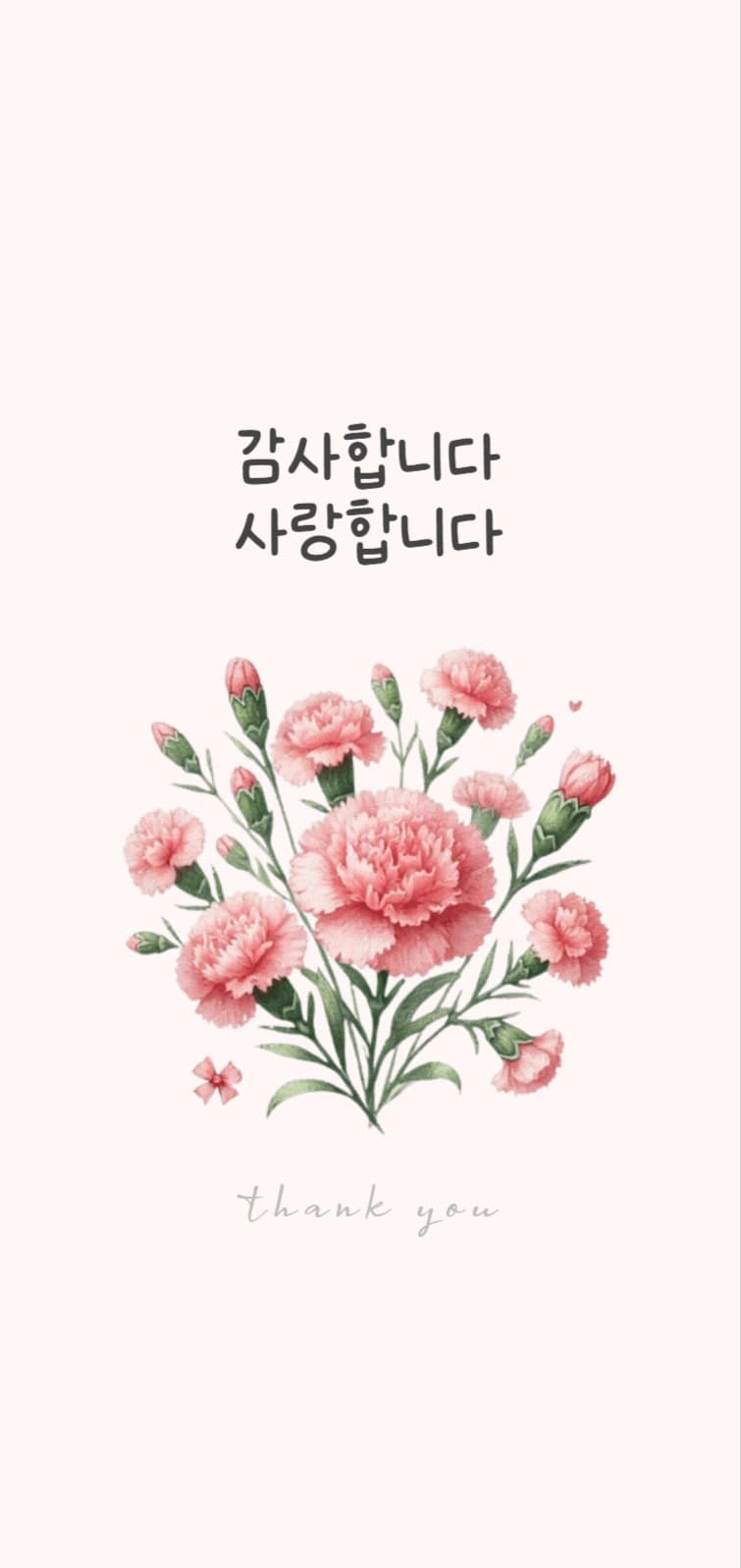 카네이션-모바일