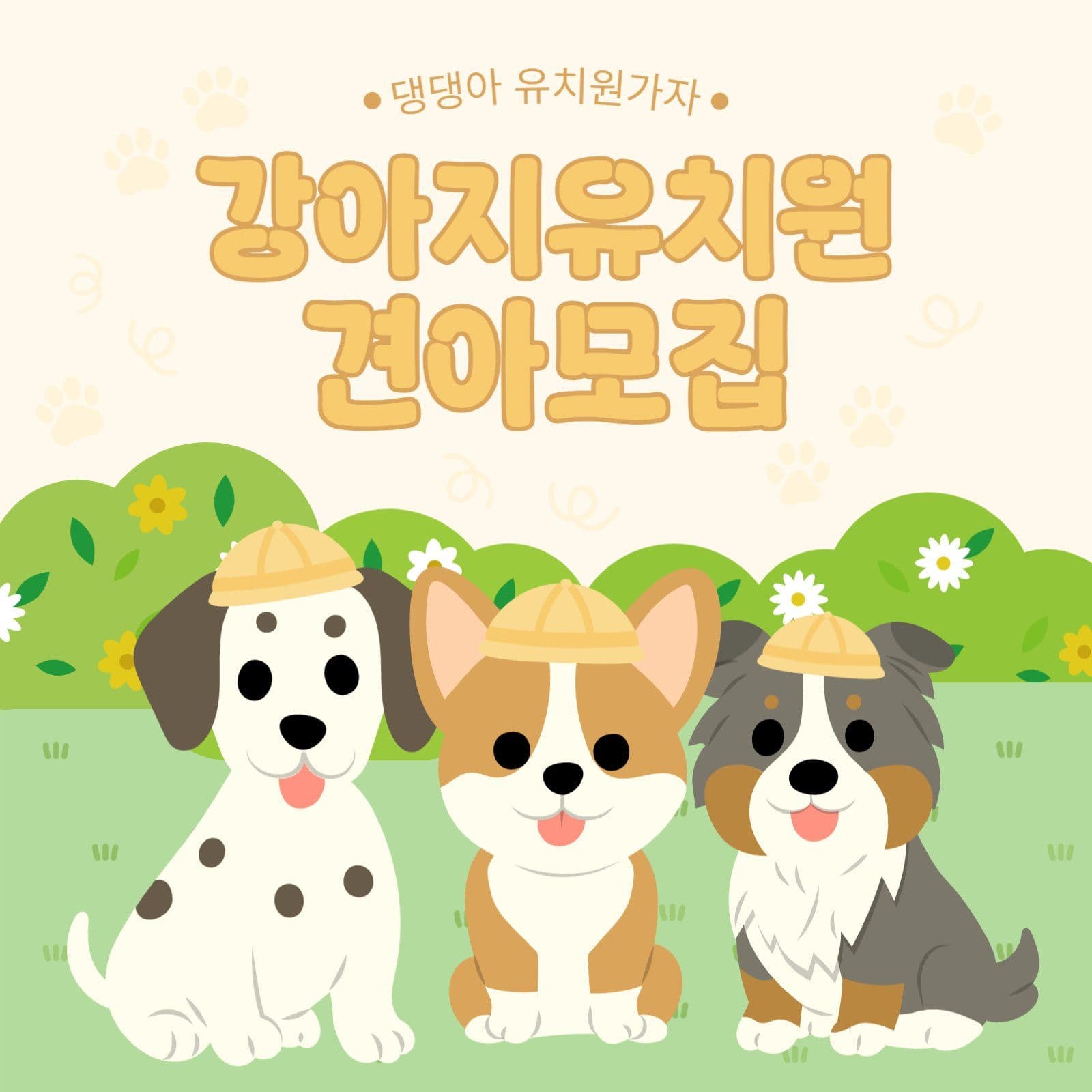강아지유치원 모집