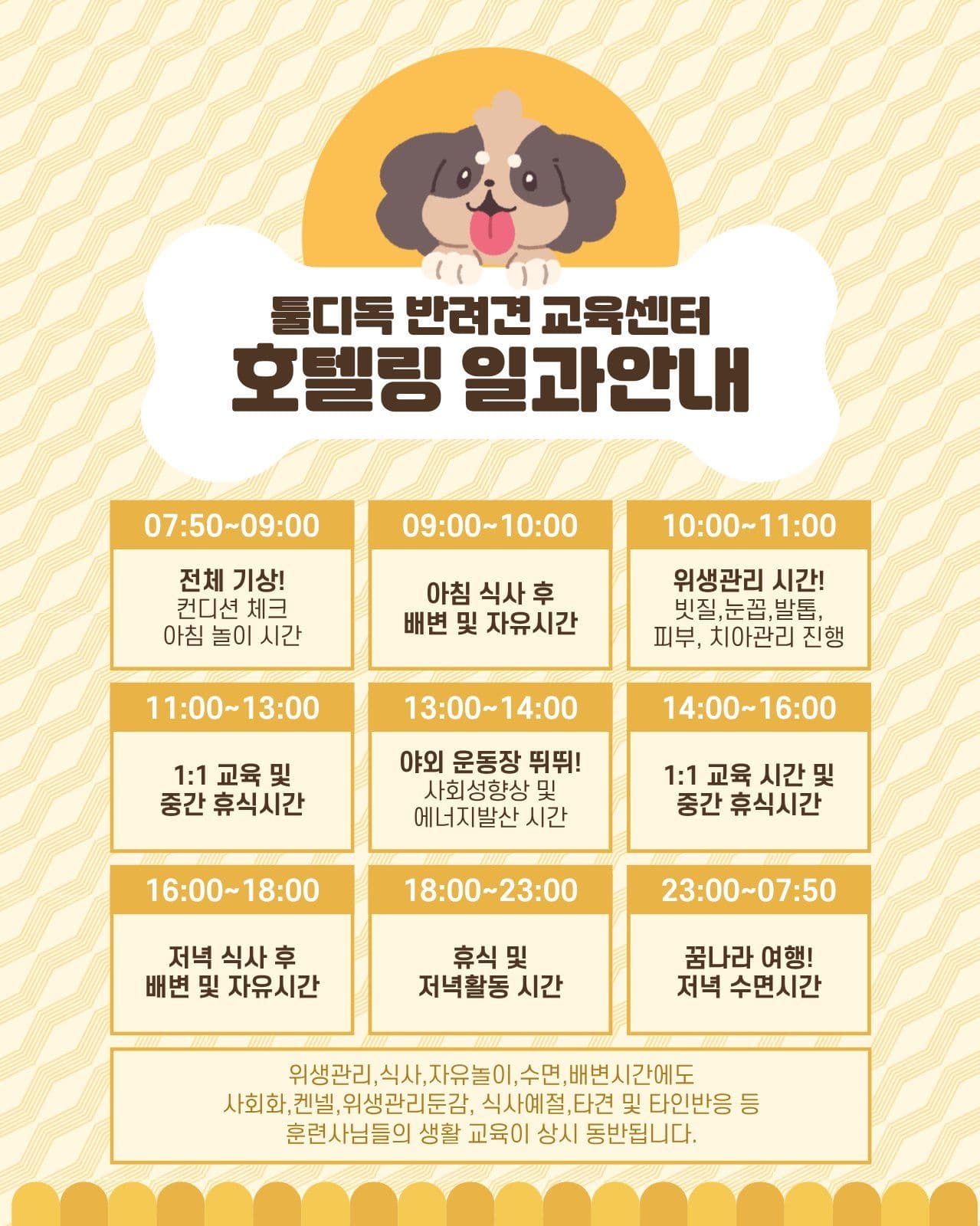 반려견 교육센터 일과안내