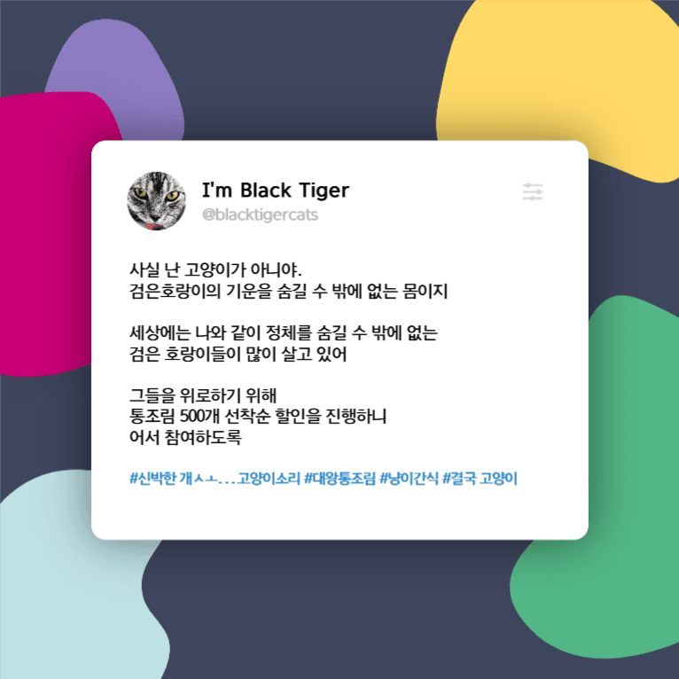 임인년고양이쇼핑몰할인인스타그램홍보