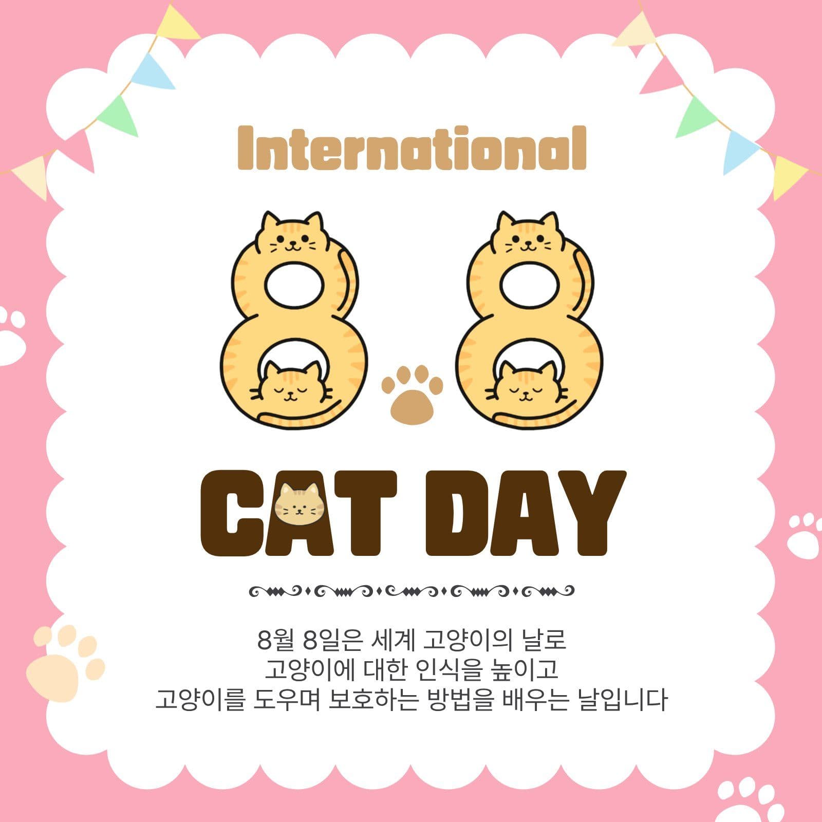 세계고양이의날