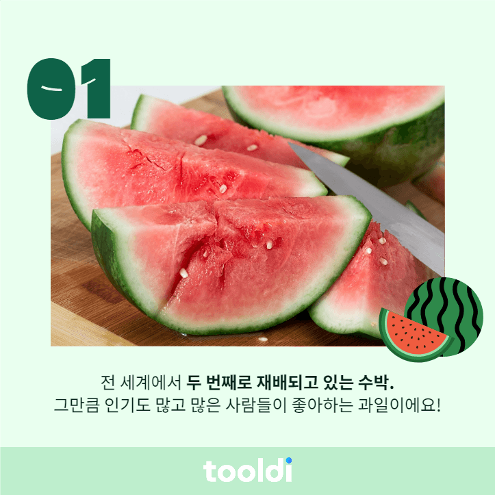 수박 카드뉴스