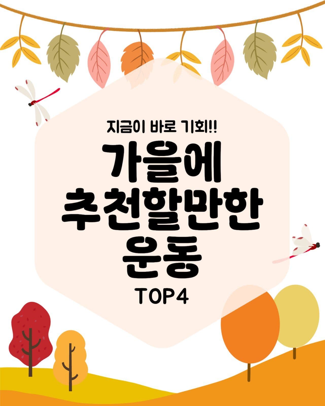 가을에 추천할만한 운동