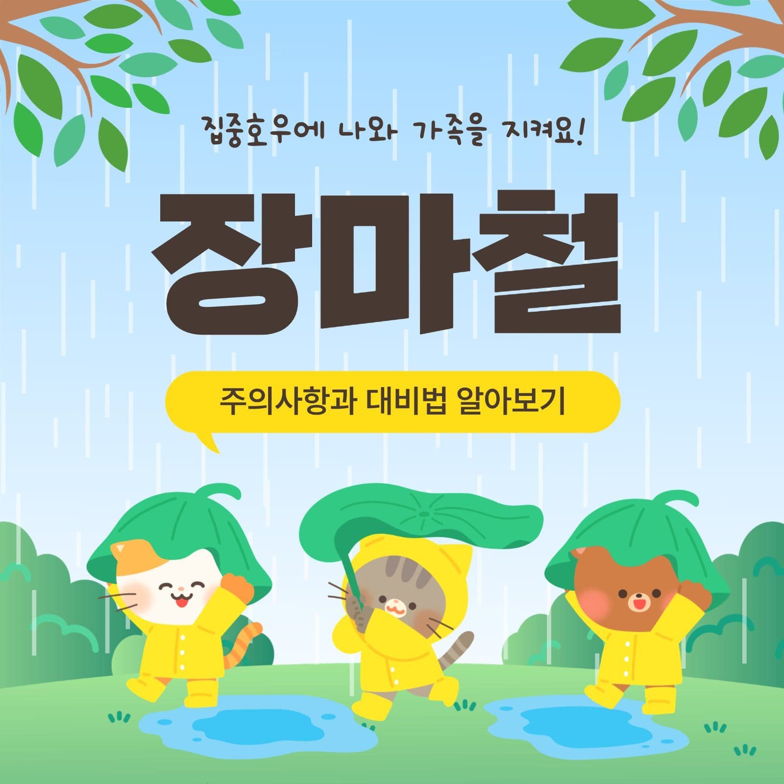 장마철주의사항과대비법