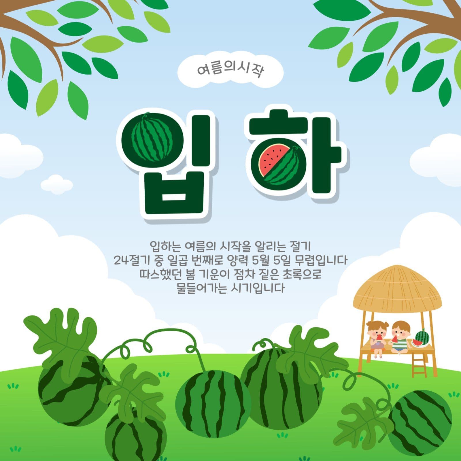 여름의시작입하