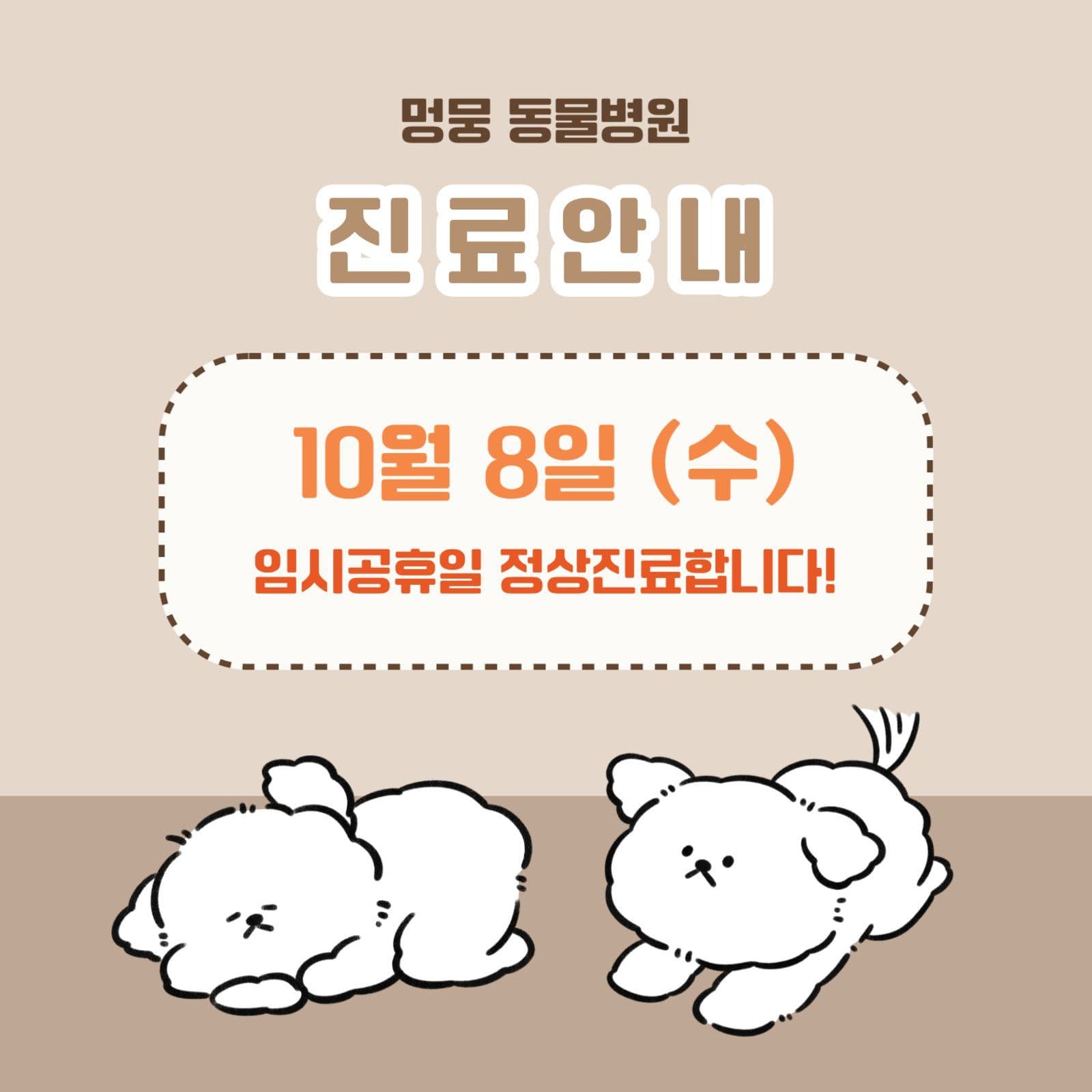 동물병원 진료안내