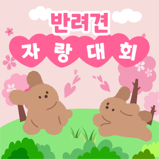 반려견 자랑대회 (인스타)