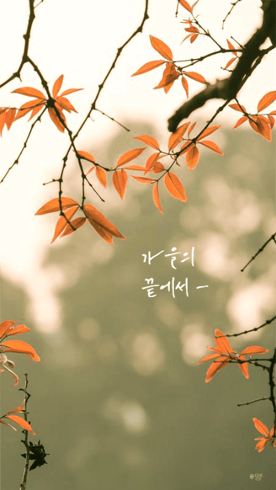 감성 배경화면