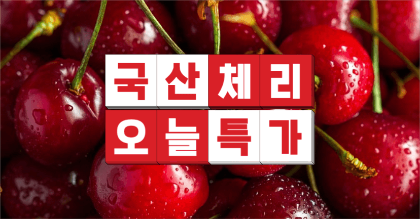 국산 체리 오늘 특가 인스타그램
