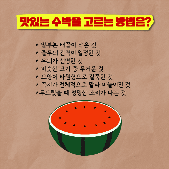 맛있는 수박 고르는 법