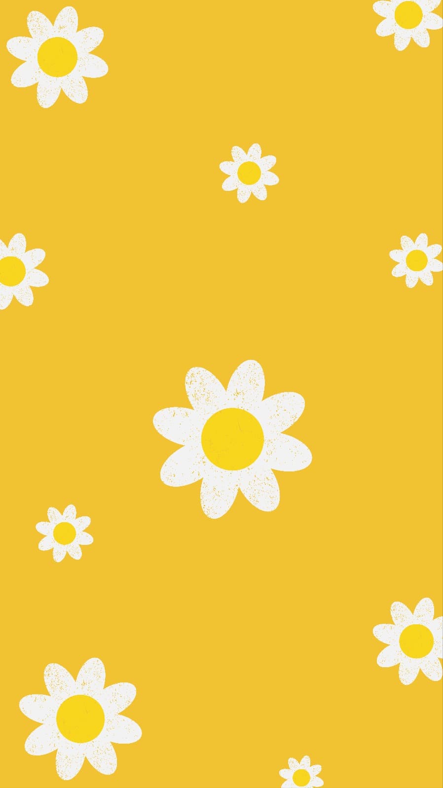 flower 배경화면