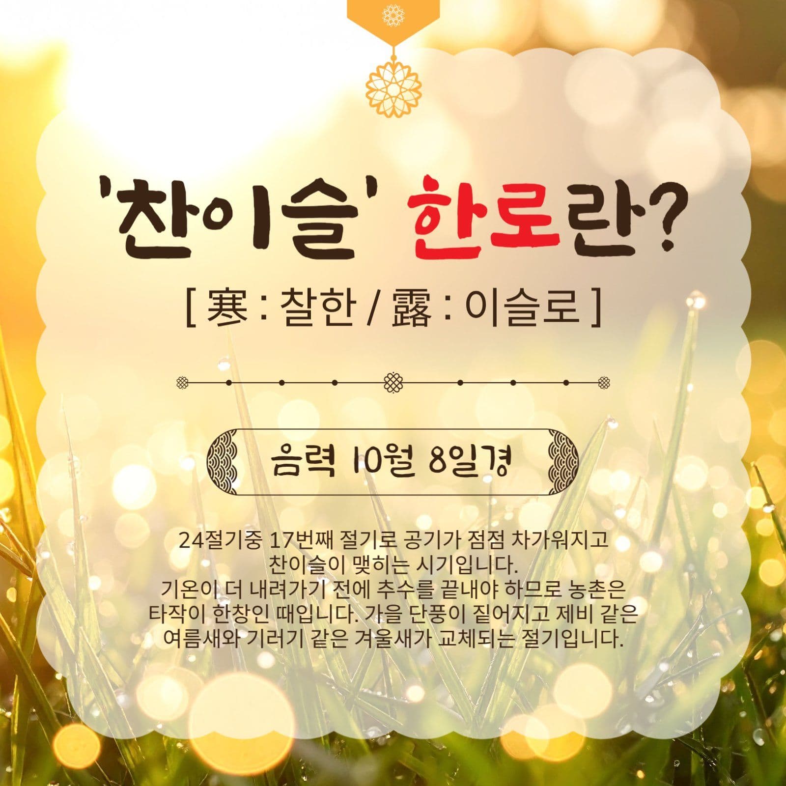 찬이슬한로란