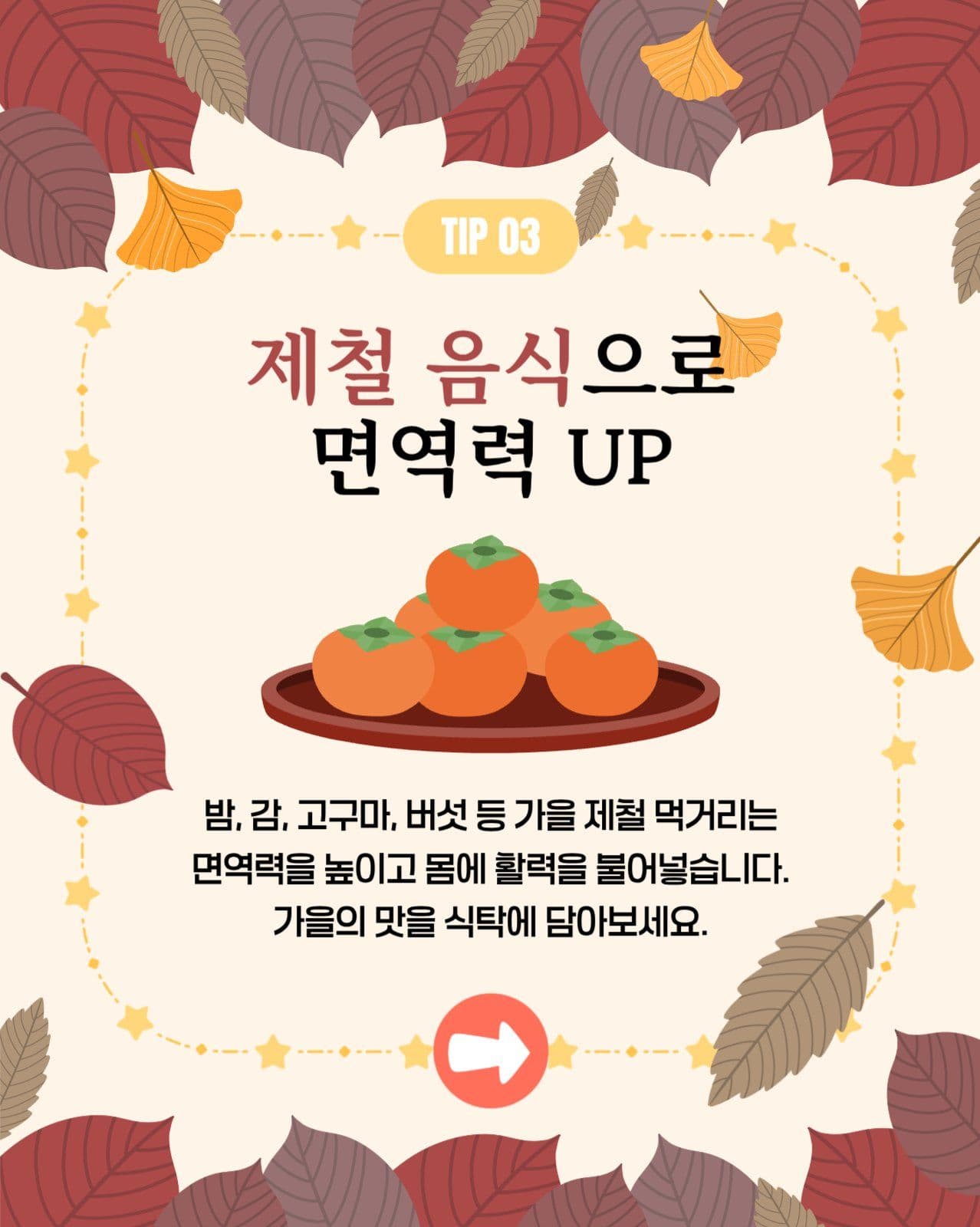 카드뉴스