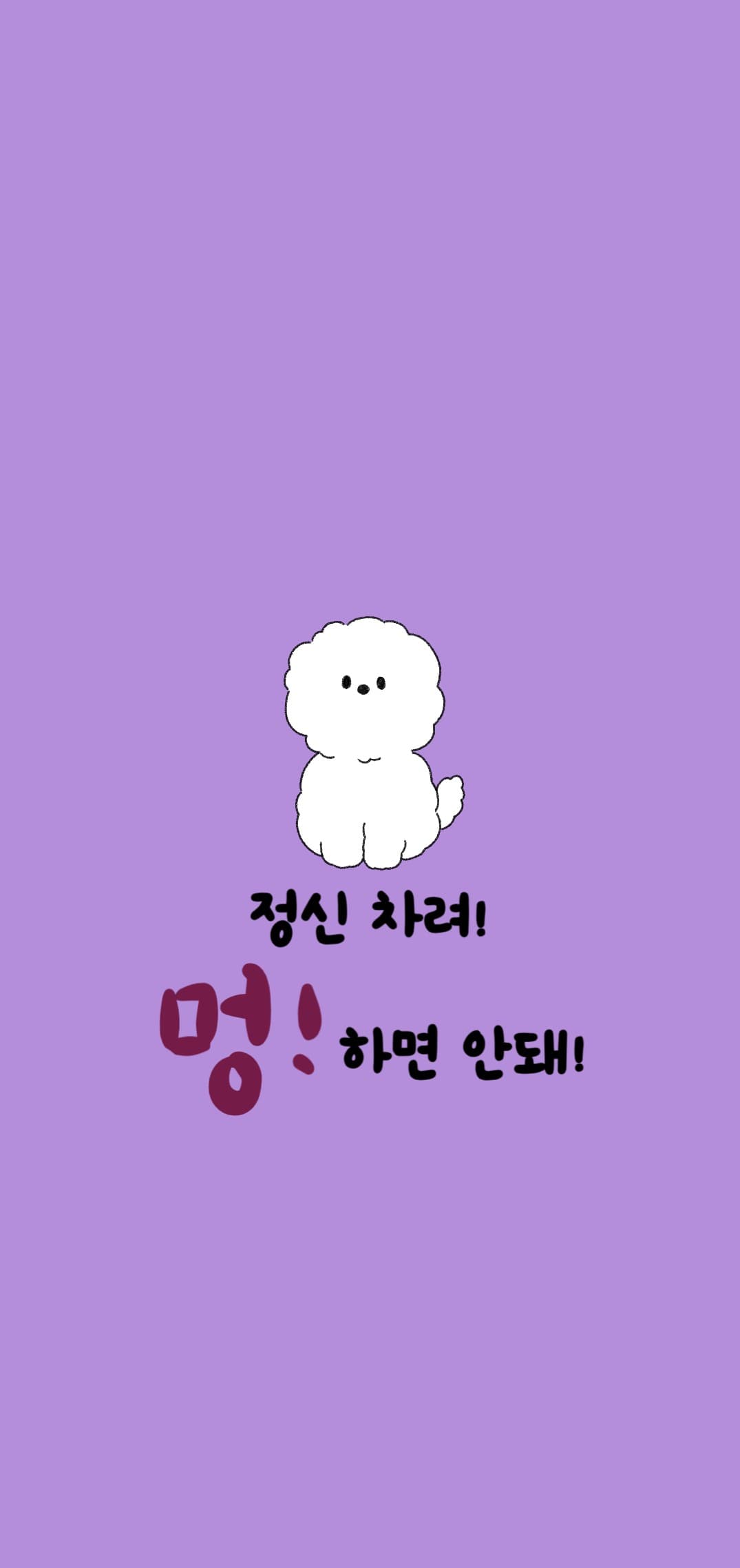 강아지 훈육