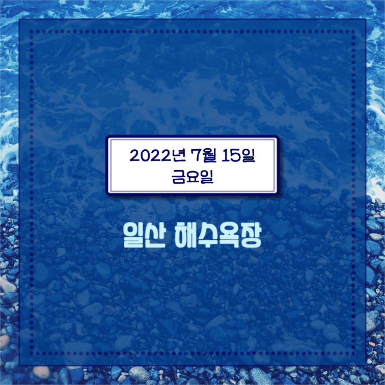 전국 해수욕장 개장일