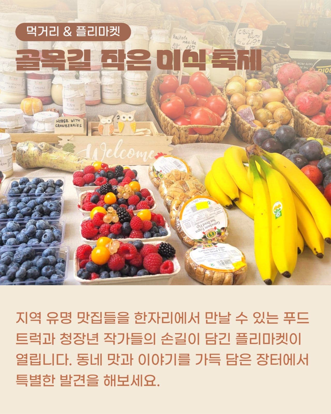 동네 축제 페스티벌 문화제 카드뉴스