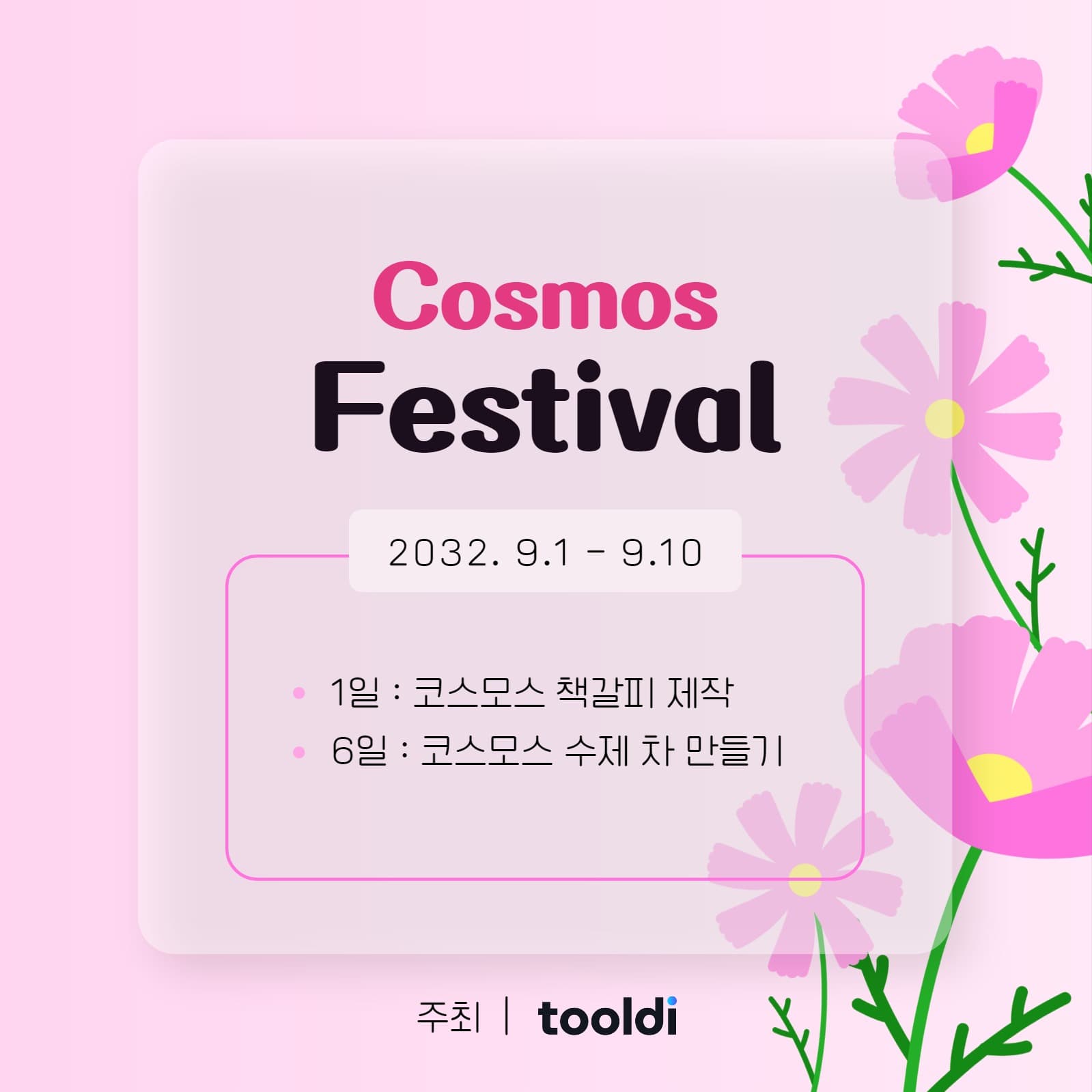 코스모스 페스티벌