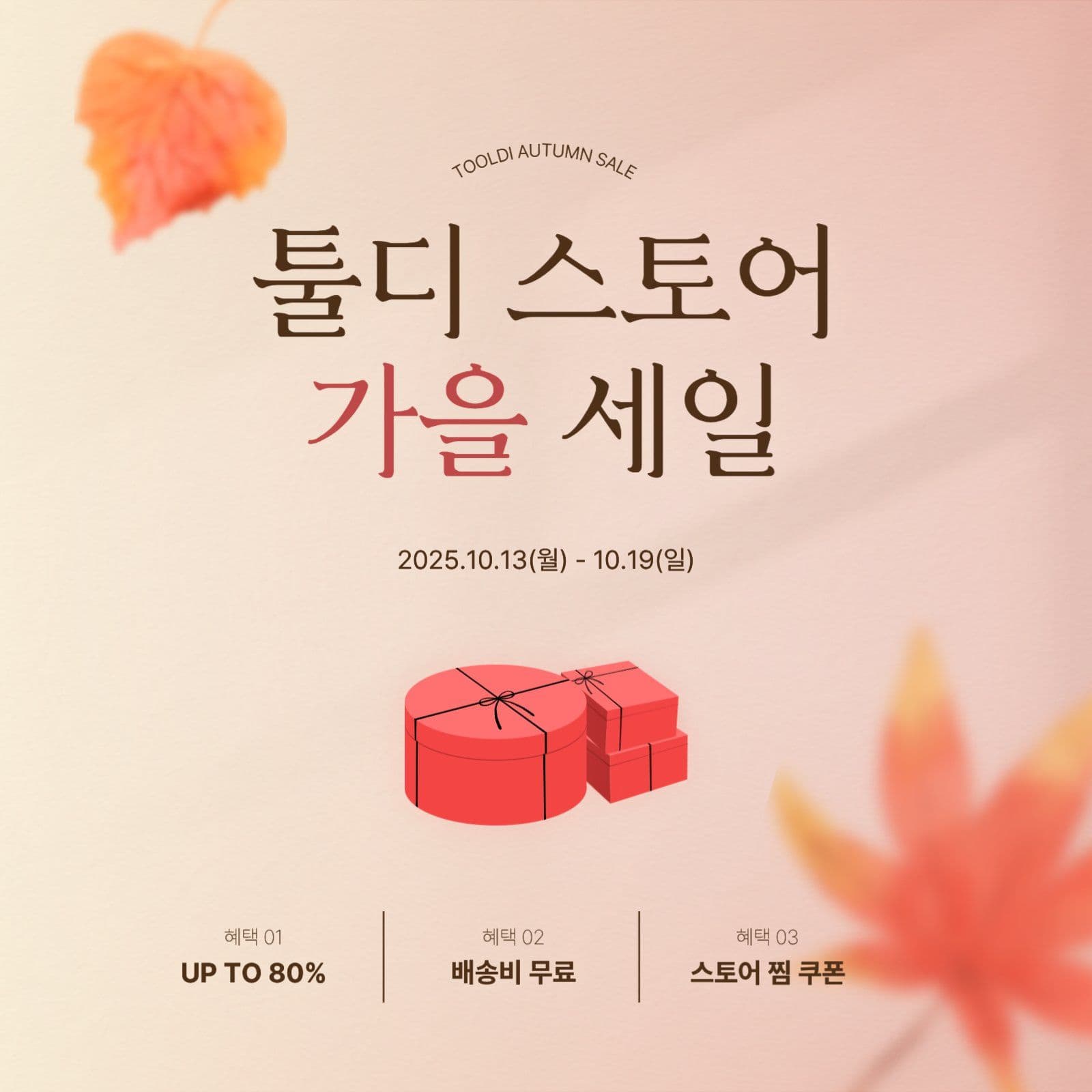 선물상자 단풍 가을 세일 