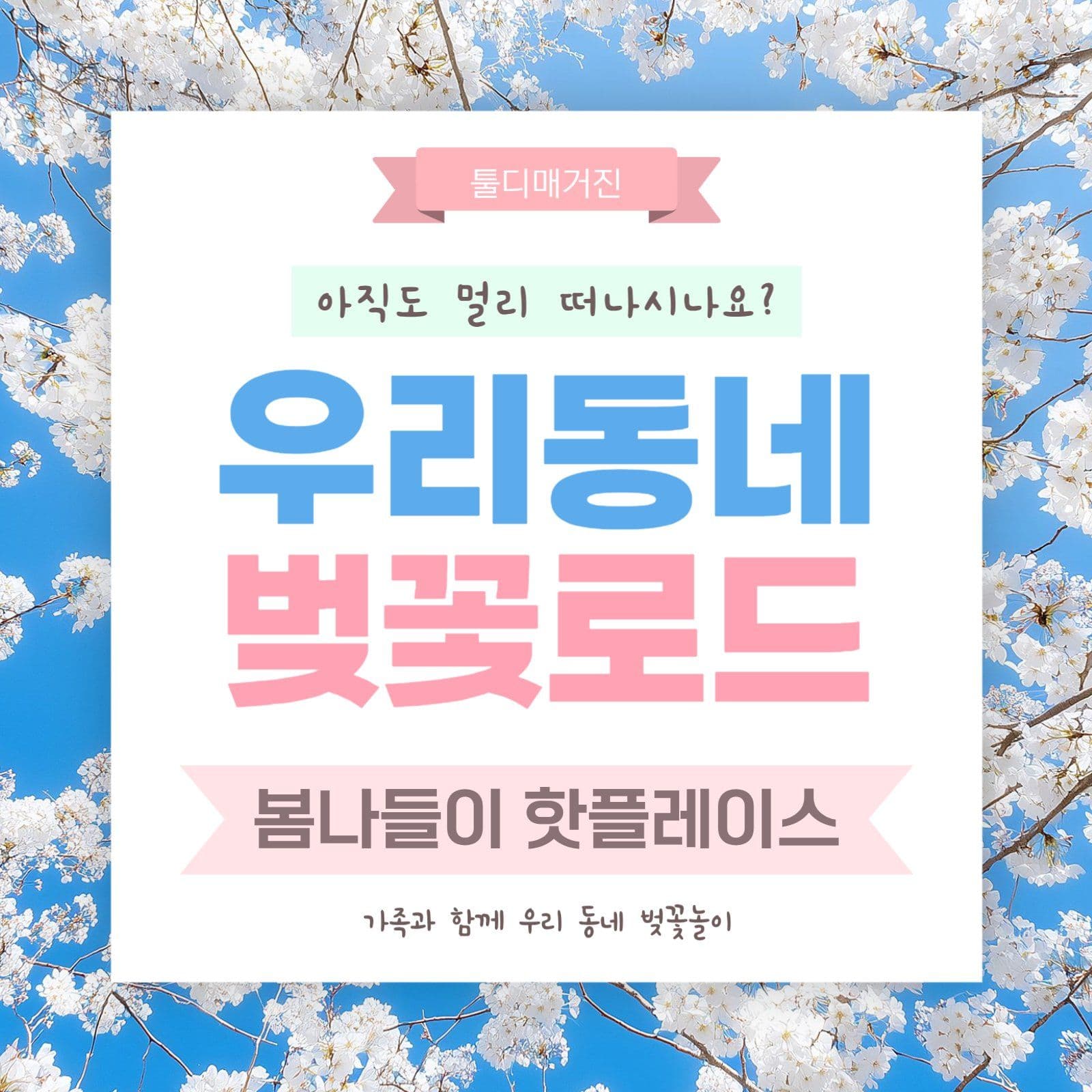 벚꽃놀이 썸네일 게시물