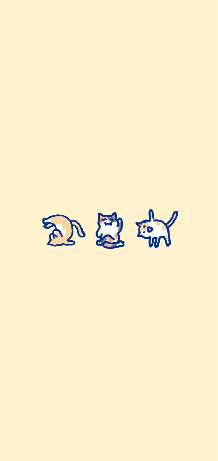 냥냥 요가쌤