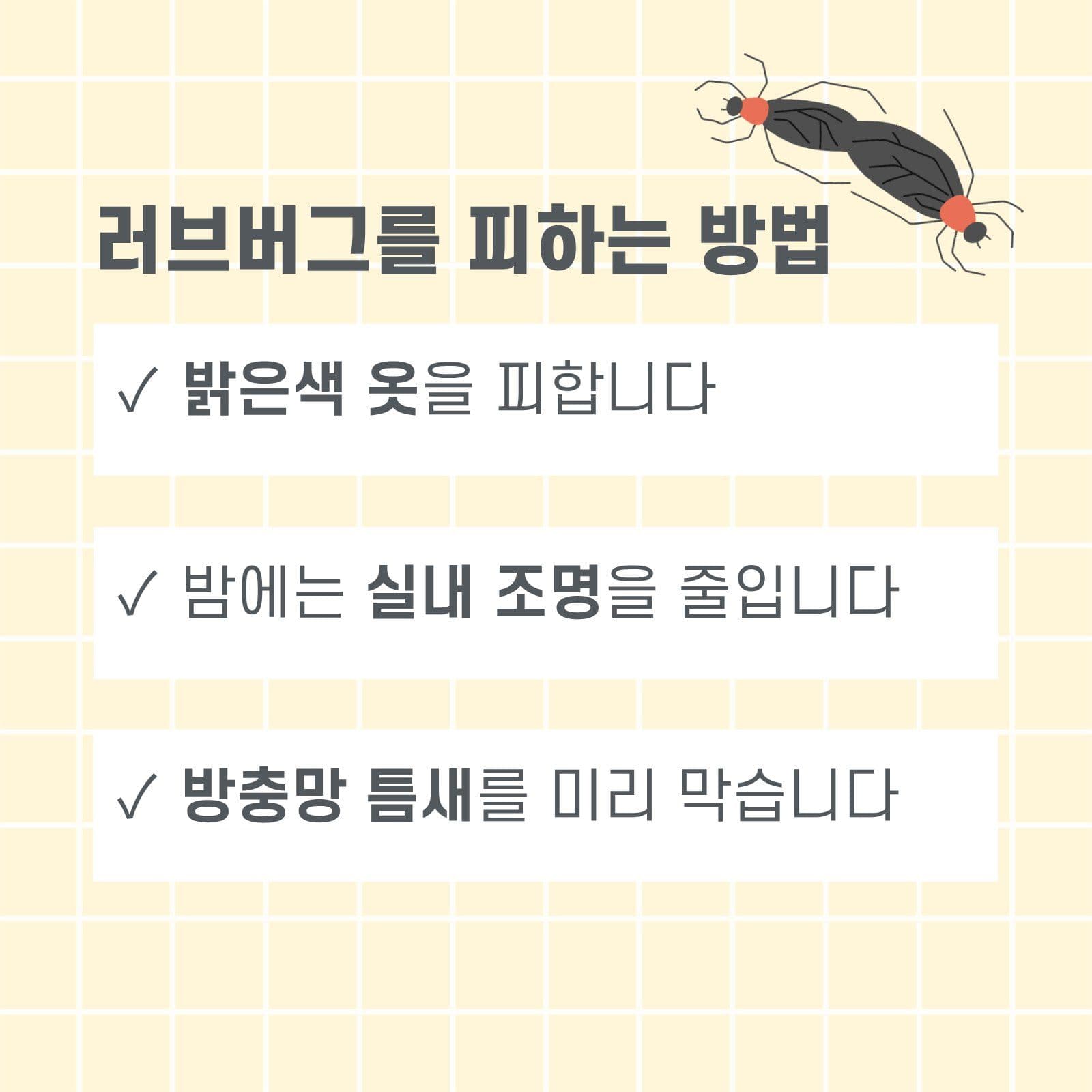 러브버그 카드뉴스
