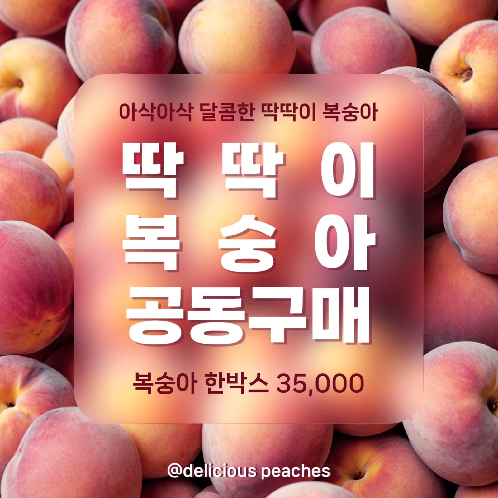 복숭아 공구