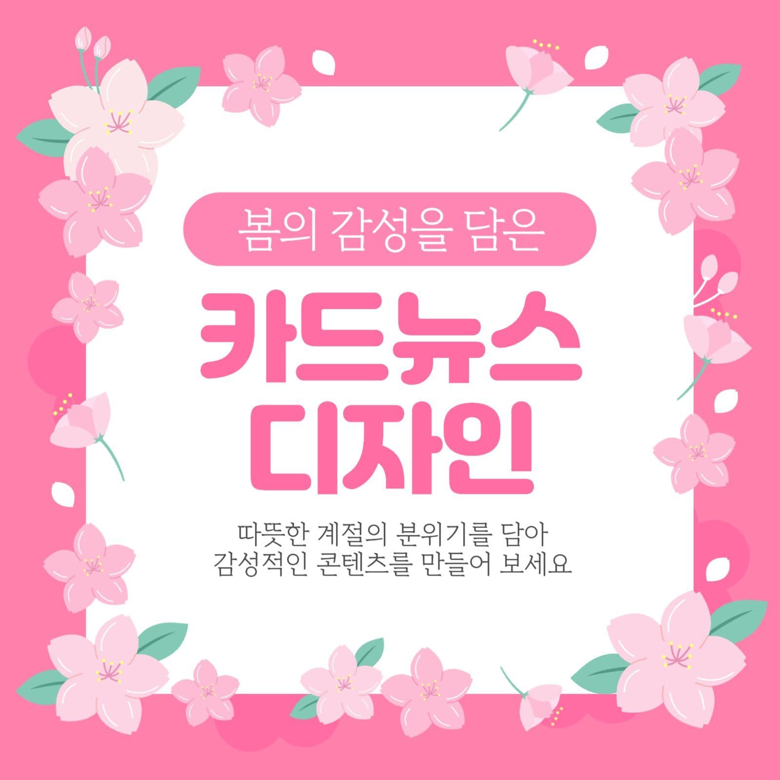 핑크 봄의 감성을 담은 카드뉴스
