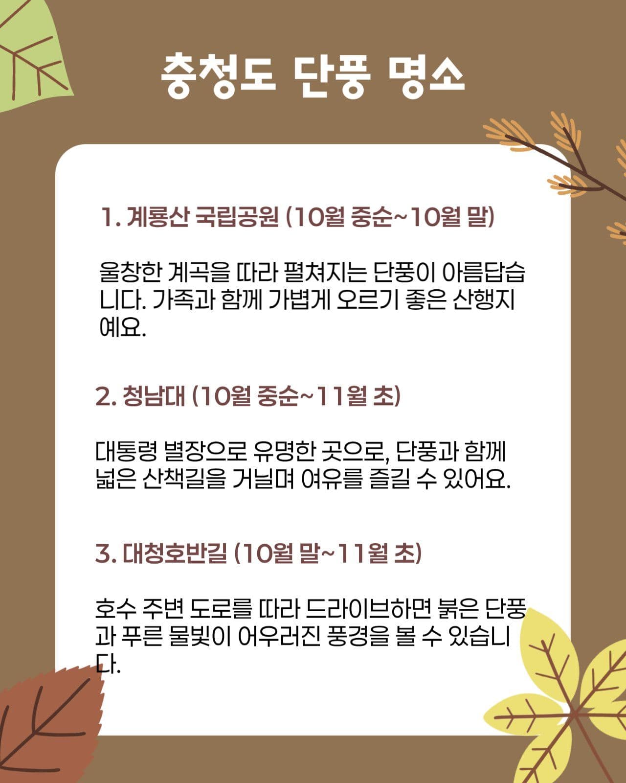 가을 단풍 명소 홍보