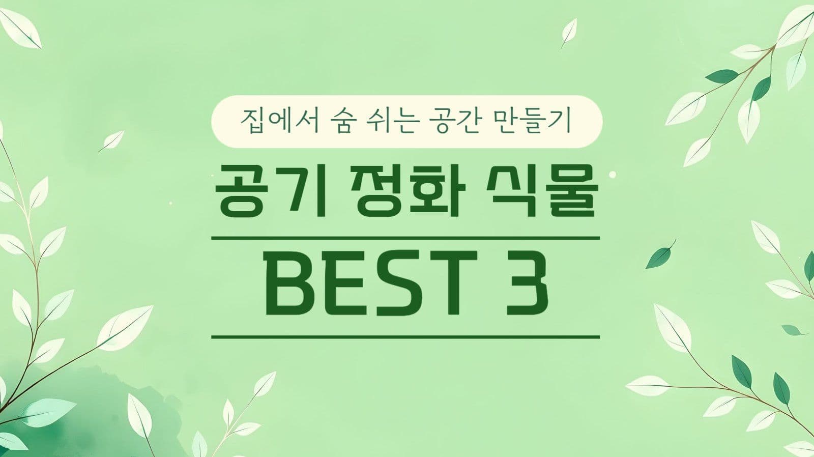 식물 유튜브 썸네일