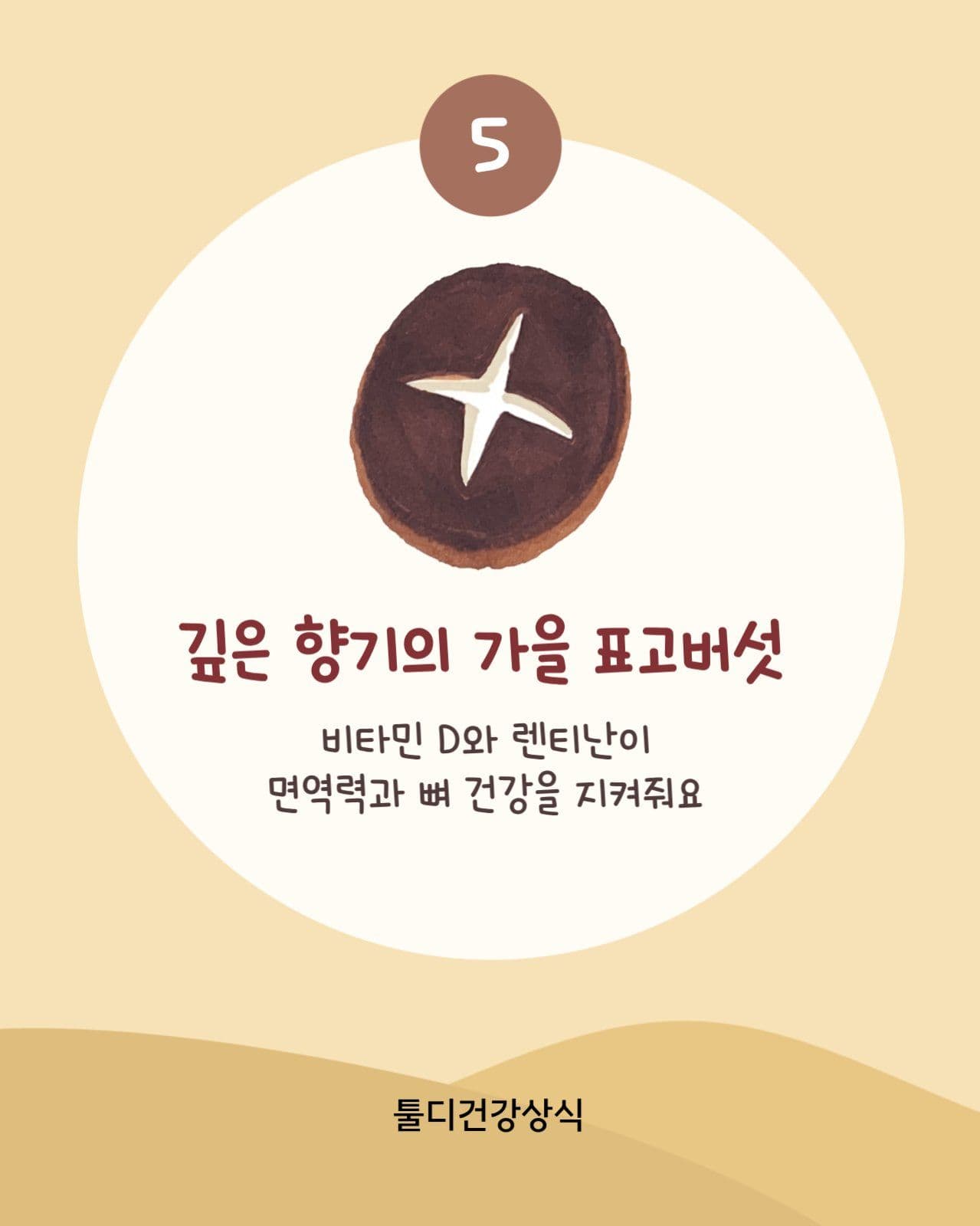 가을 제철 음식 건강정보 카드뉴스