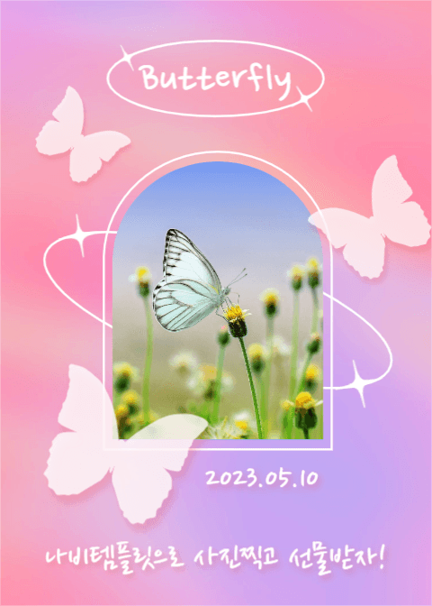 Butterfly (이벤트팝업)