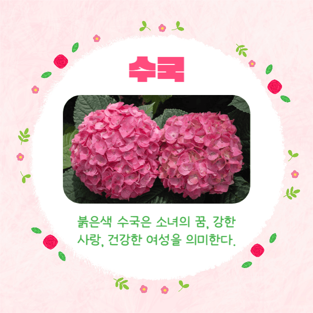 예쁜 꽃말 모음집 (카드뉴스)