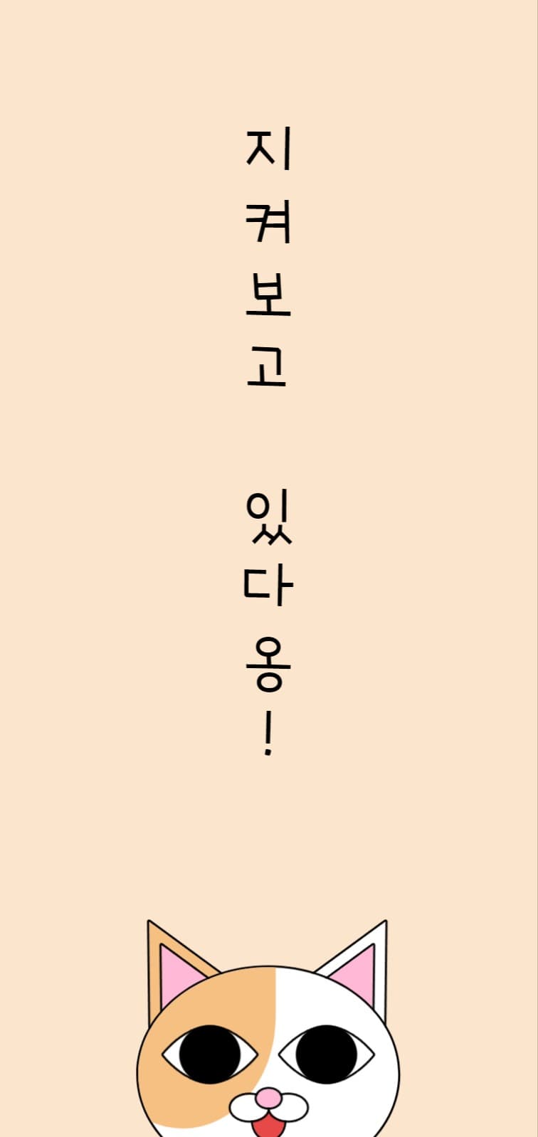 냥이 배경화면