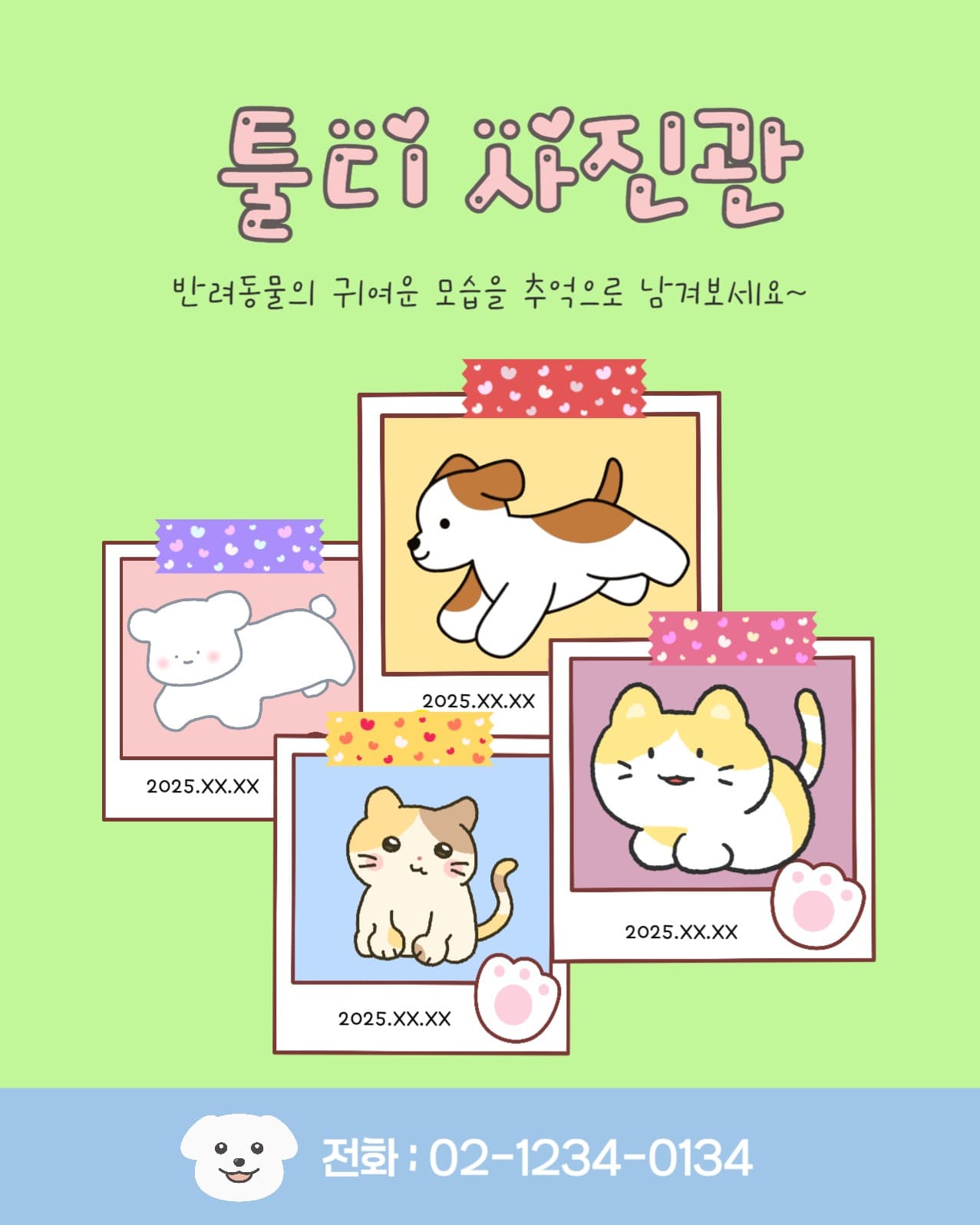 반려동물사진관
