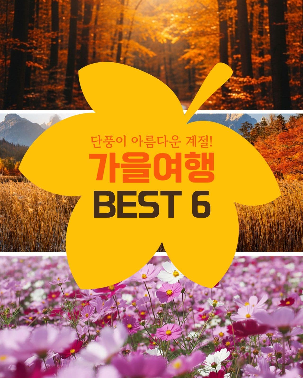 가을여행 BEST 6